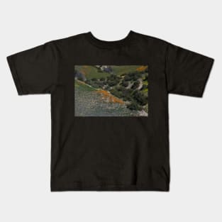 Poppies in the Distance! Kids T-Shirt